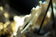 Technik vom Feinsten